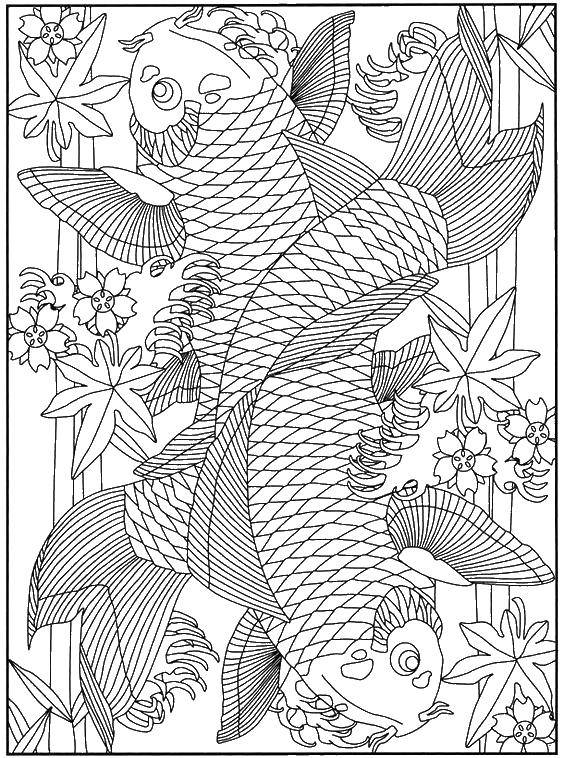Название: Раскраска Две рыбы и цветы. Категория: рыбы. Теги: рыбы, цветы, плавники.