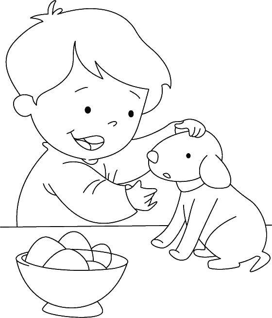 Coloring Feed the puppy. Category Pets allowed. Tags:  Animals, dog.