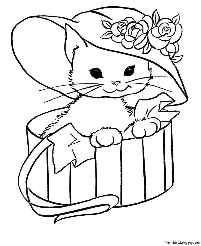 Название: Раскраска Котик в подарок. Категория: Коты и котята. Теги: Животные, котёнок.