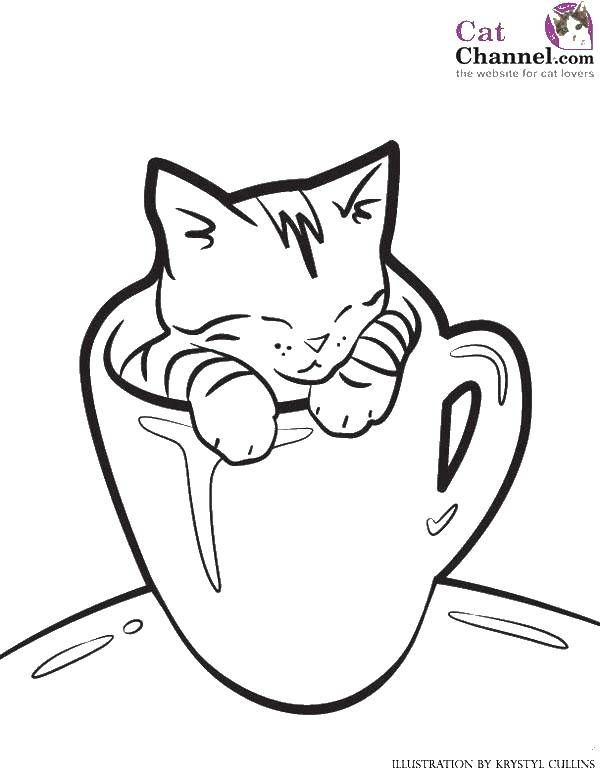 Название: Раскраска Котёнок в кружке. Категория: Коты и котята. Теги: Животные, котёнок.
