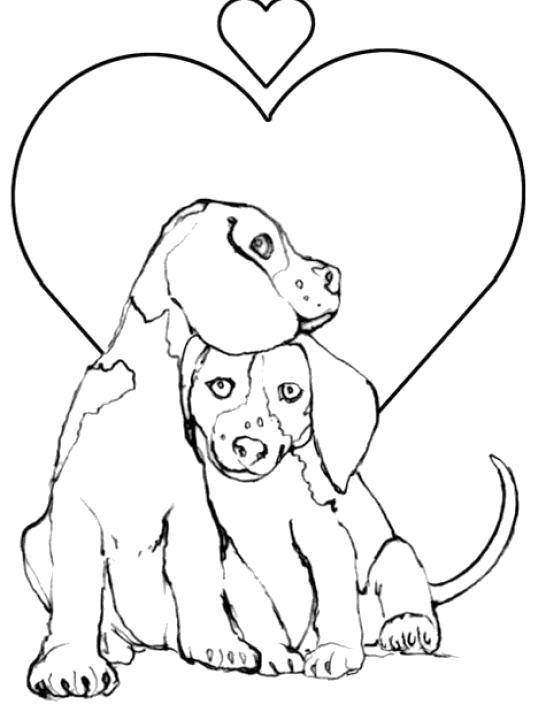 Название: Раскраска Любовь двух собак. Категория: домашние животные. Теги: Животные, собака.