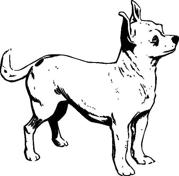 Coloring Little mutt. Category Pets allowed. Tags:  Animals, dog.