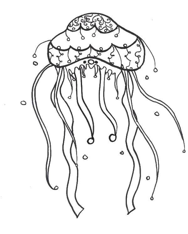 Coloring Jellyfish. Category Sea animals. Tags:  marine, sea, fish, jellies.