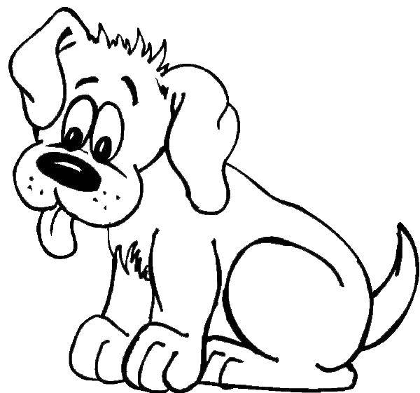 Название: Раскраска Милашка пёс. Категория: домашние животные. Теги: Животные, собака.