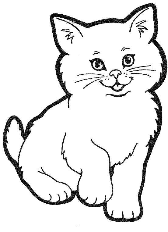 Название: Раскраска Милый кот. Категория: Коты и котята. Теги: Животные, котёнок.