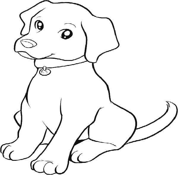 Coloring Cute loyal dog. Category Pets allowed. Tags:  Animals, dog.