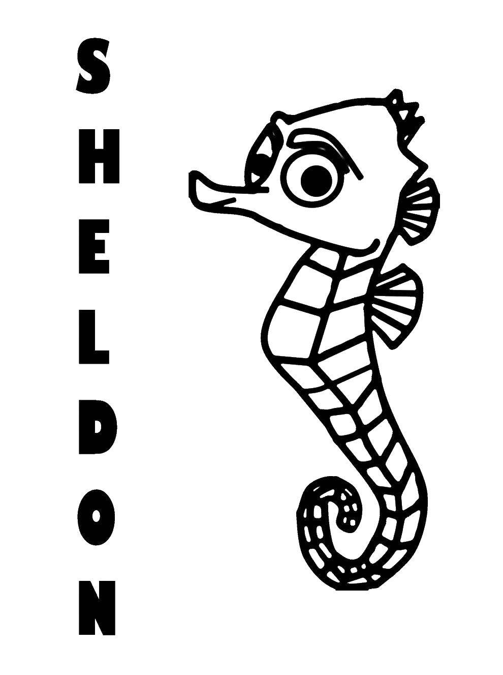 Coloring Seahorse Sheldon. Category Sea animals. Tags:  Underwater world, seahorses.