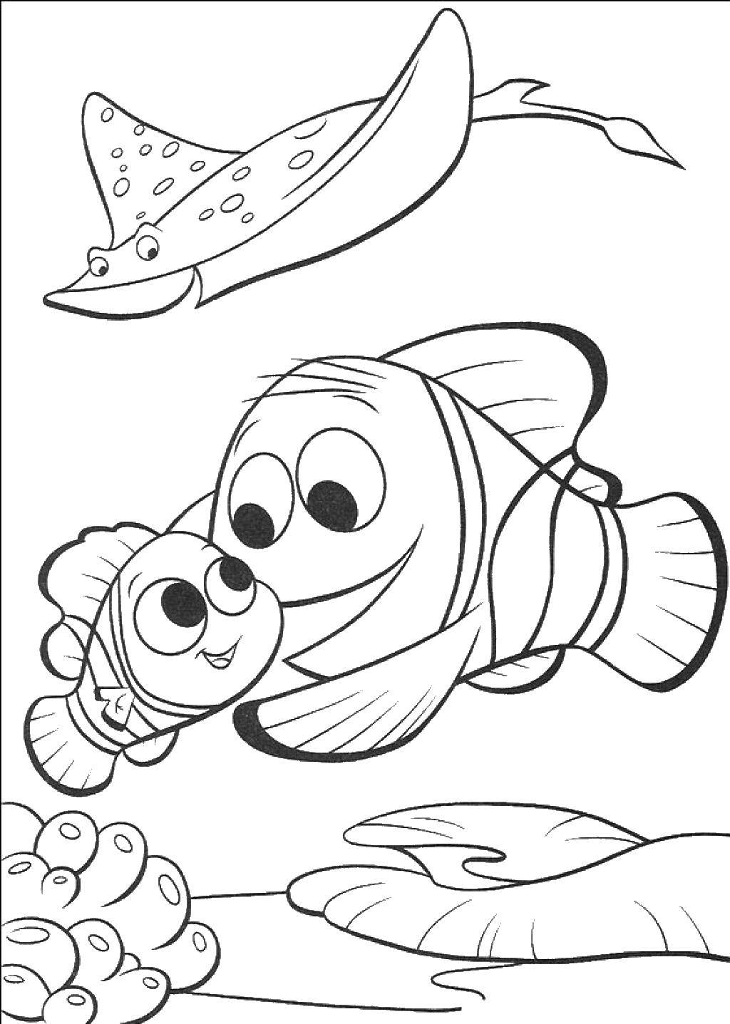 Coloring Nemo and friend. Category Sea animals. Tags:  Underwater world, fish.