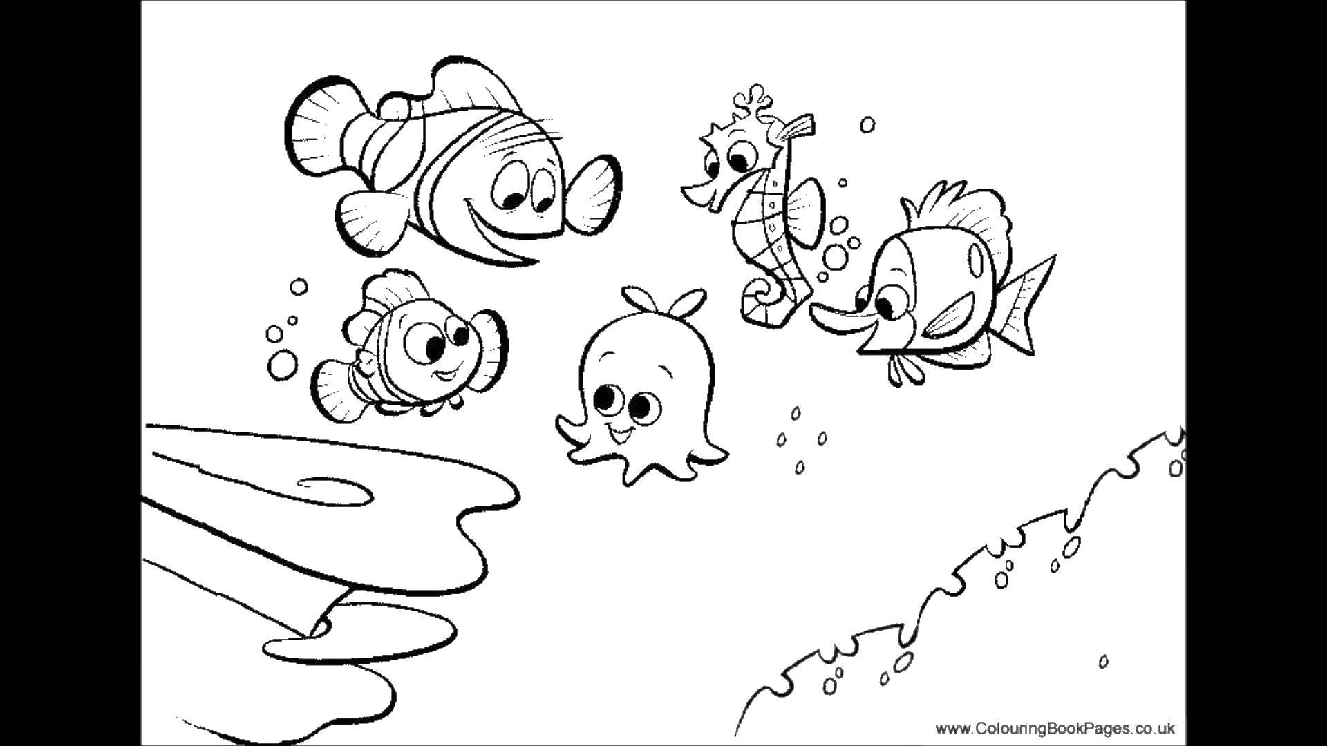 Coloring Nemo and friends. Category Sea animals. Tags:  Underwater world, fish.