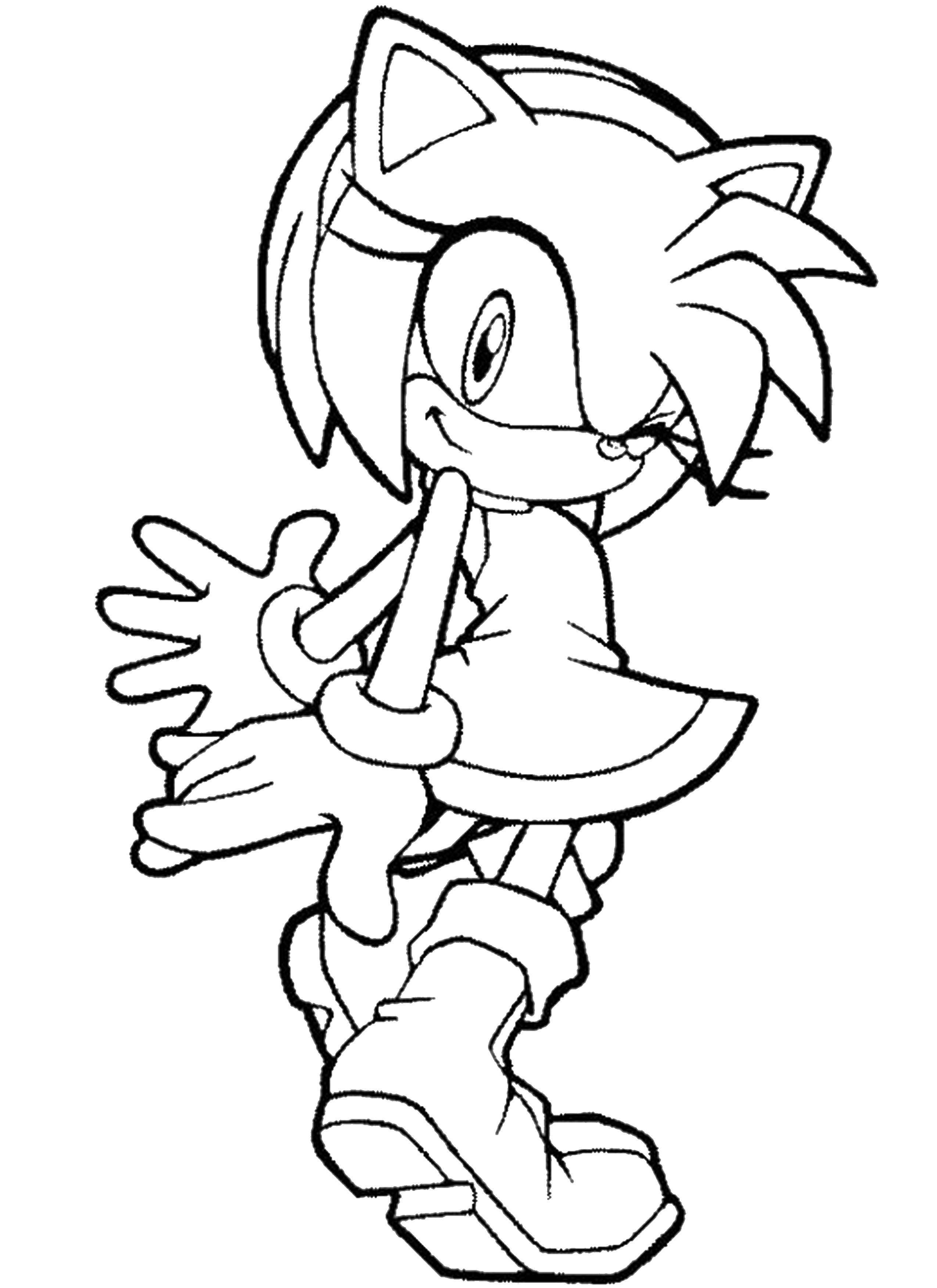 Coloring Friend of sonic, Amy. Category cartoons. Tags:  Amy, Sonic.
