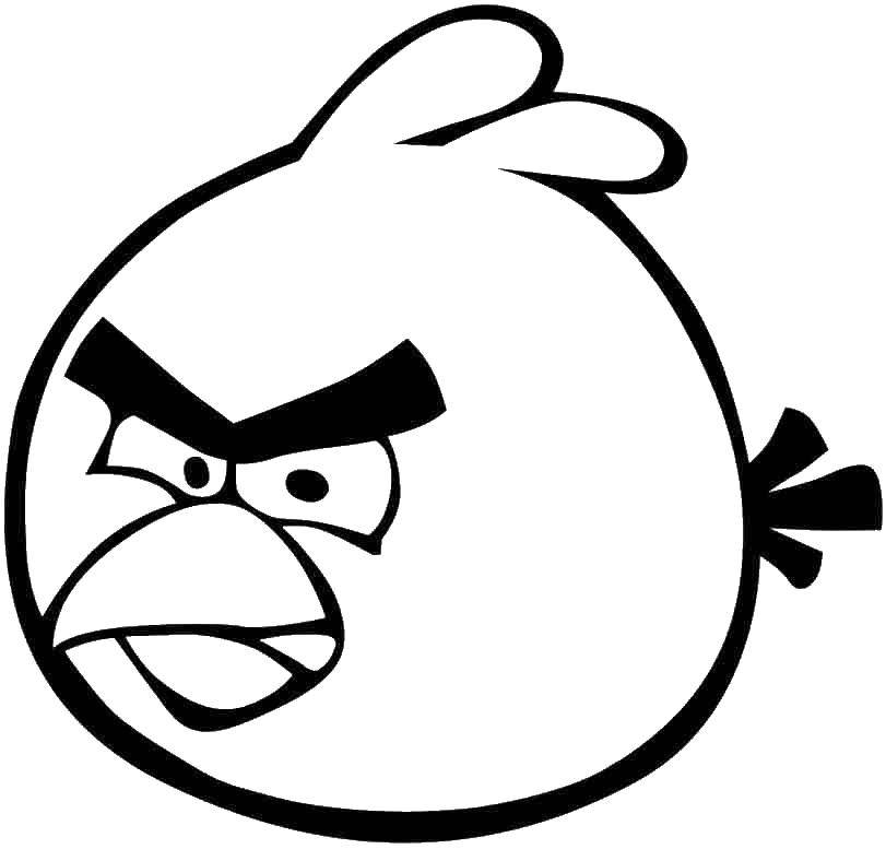 Название: Раскраска Птичка из angry birds так зла. Категория: Персонаж из игры. Теги: Игры, Angry Birds .
