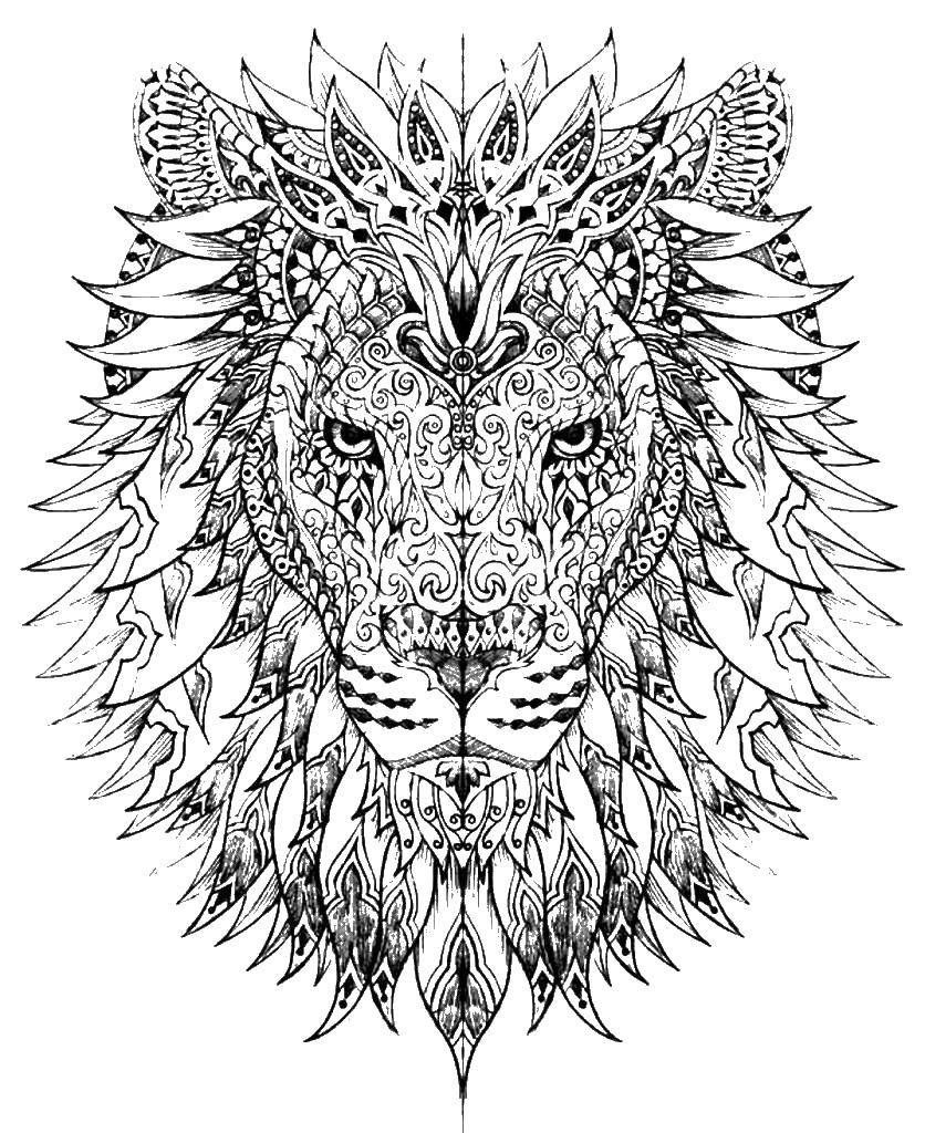 Coloring Coloring antistress. Category coloring antistress. Tags:  patterns, shapes, antistress, lion.