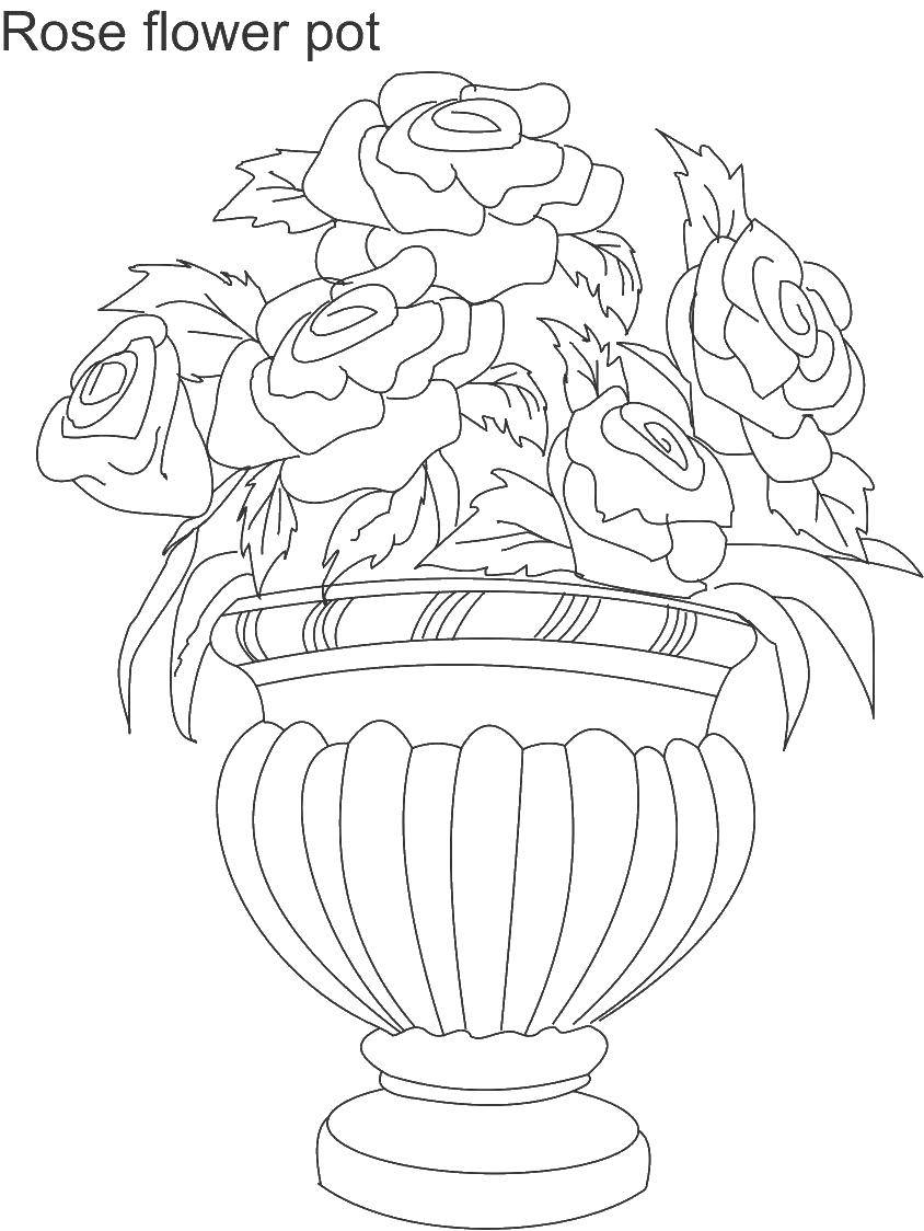 Coloring Roses in antique vase. Category Vase. Tags:  Flowers, bouquet, vase.