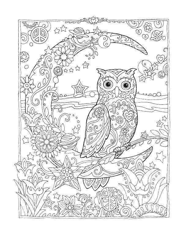 Coloring Owl and month. Category birds. Tags:  owl month, patterns, flowers.