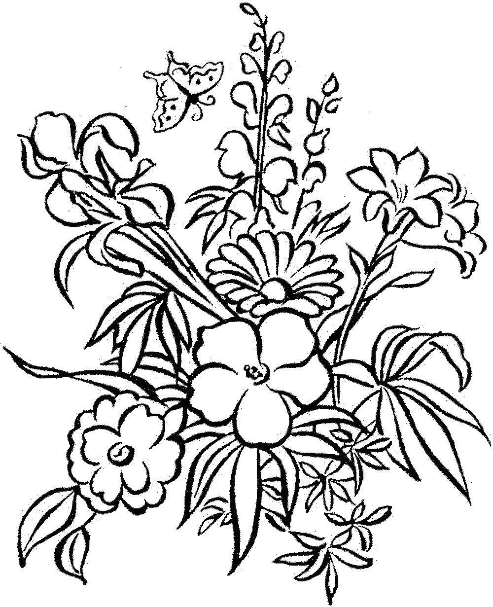 Coloring Flowers. Category For girls. Tags:  flowers, plants, buds, petals.