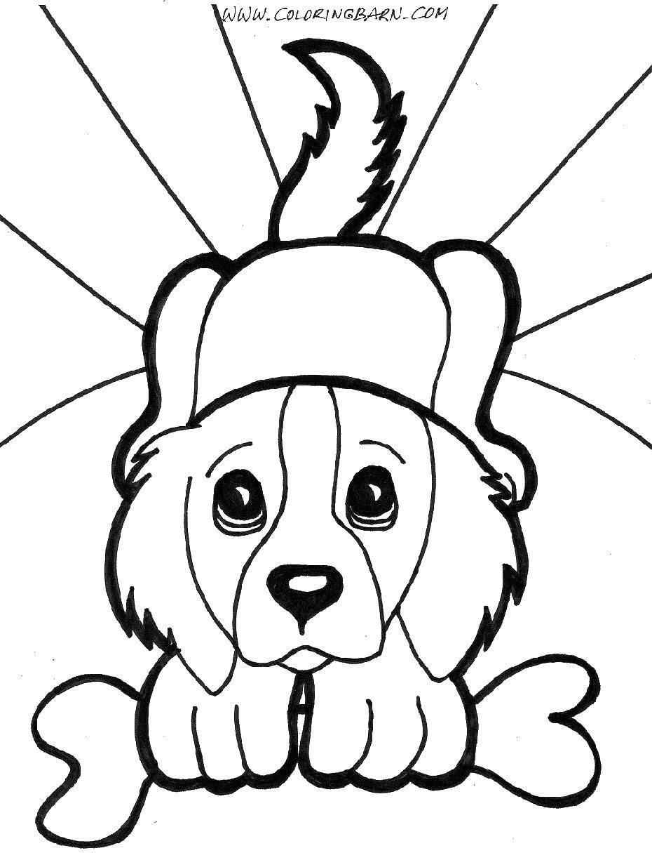 Название: Раскраска Верный пёс с косточкой. Категория: домашние животные. Теги: Животные, собака.