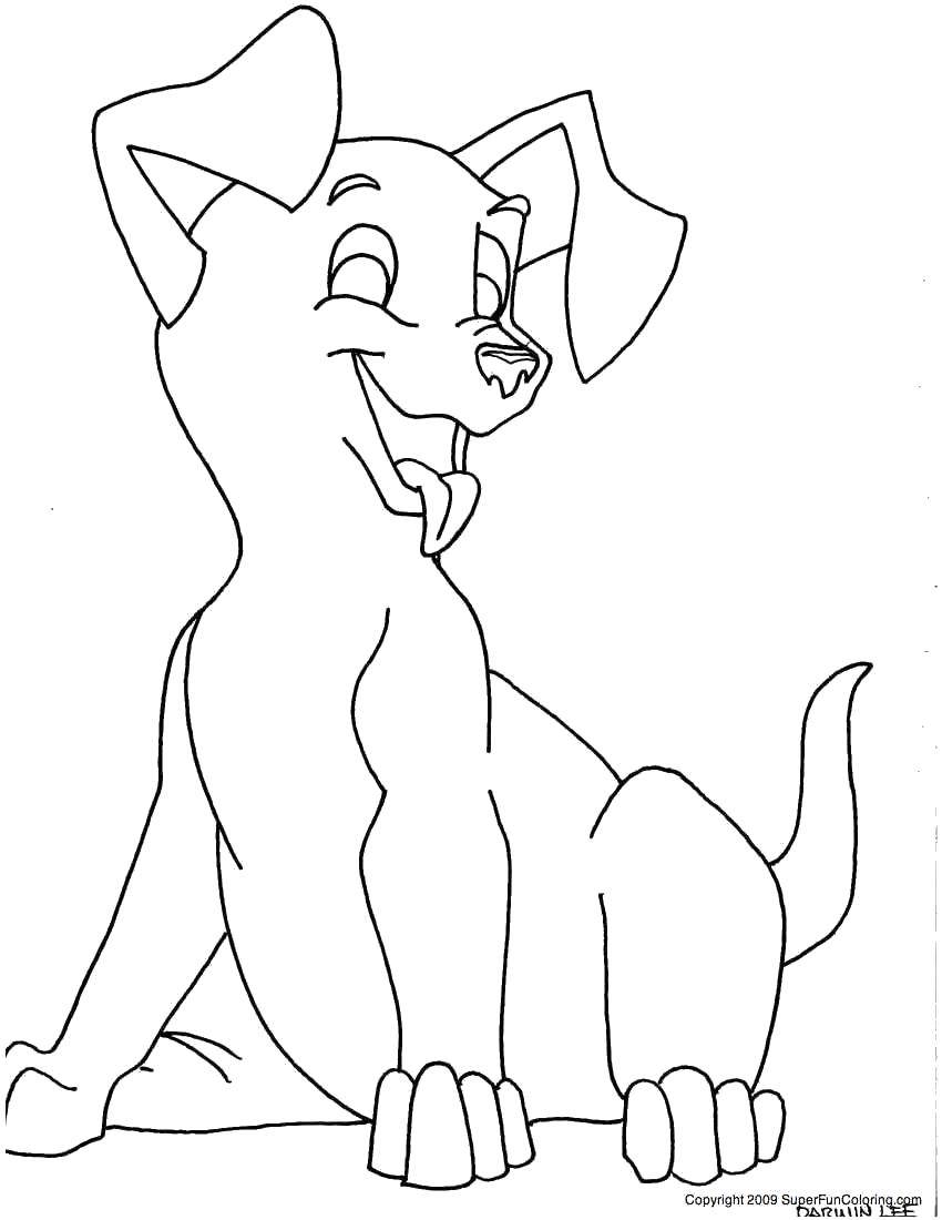 Название: Раскраска Весельчак пёс. Категория: домашние животные. Теги: Животные, собака.