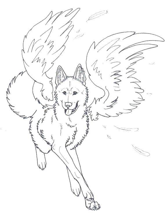 Название: Раскраска Волк с крыльями. Категория: Волшебные создания. Теги: Волшебное создание.