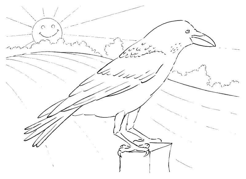 Название: Раскраска Ворона на заборе встречает рассвет. Категория: Контуры для вырезания птиц. Теги: ворон.