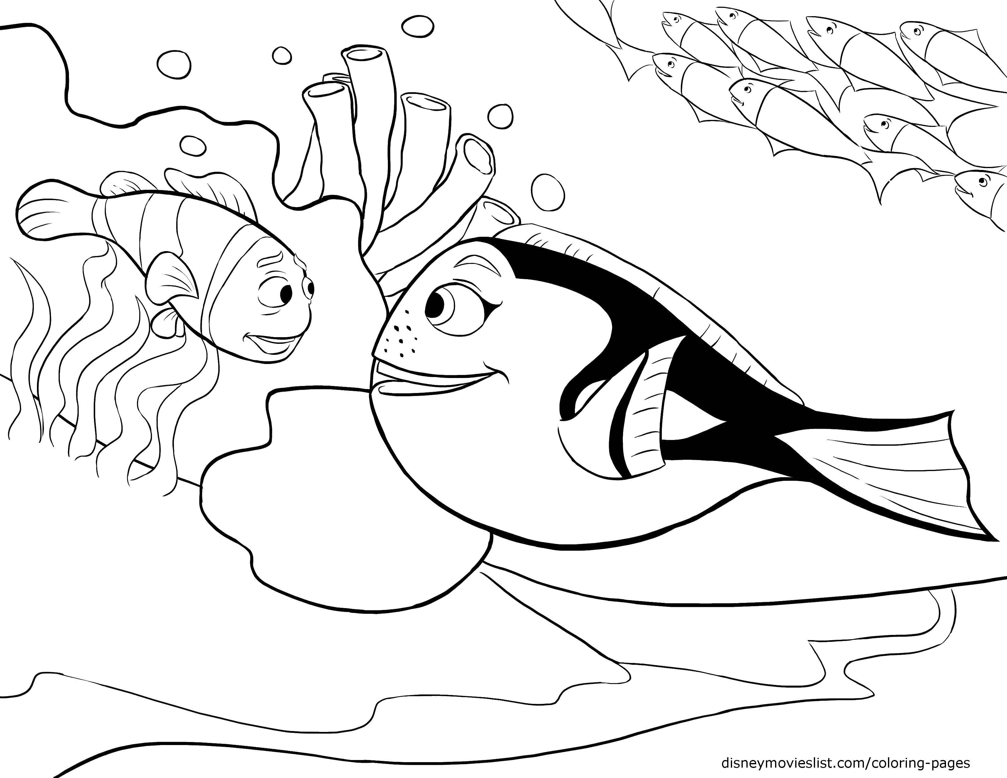 Название: Раскраска Встреча рыбок. Категория: Морские обитатели. Теги: Подводный мир, рыба.
