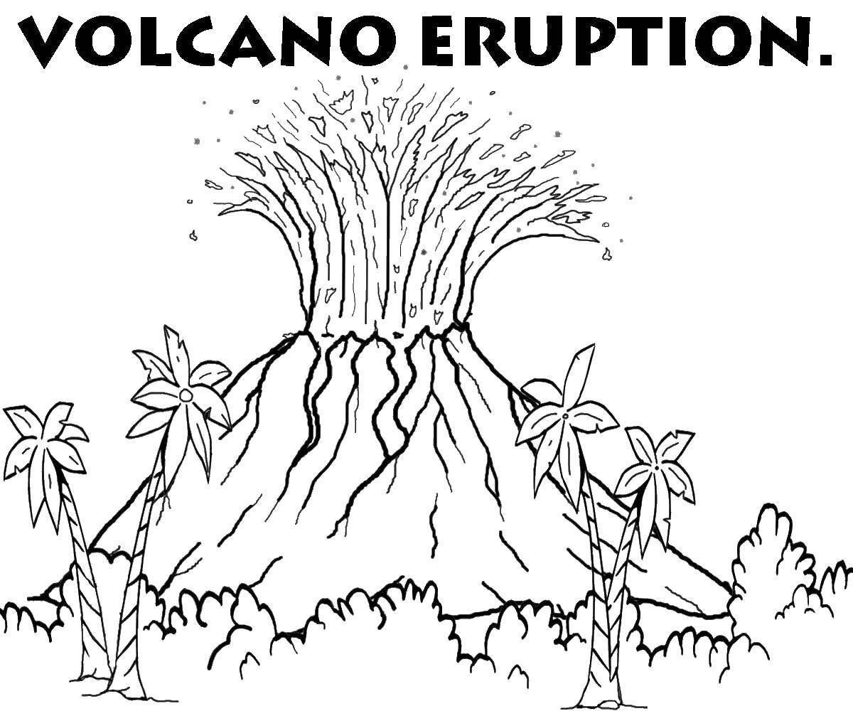Название: Раскраска Вулкан еруптион. Категория: Вулкан. Теги: вулкан, лава, деревья.