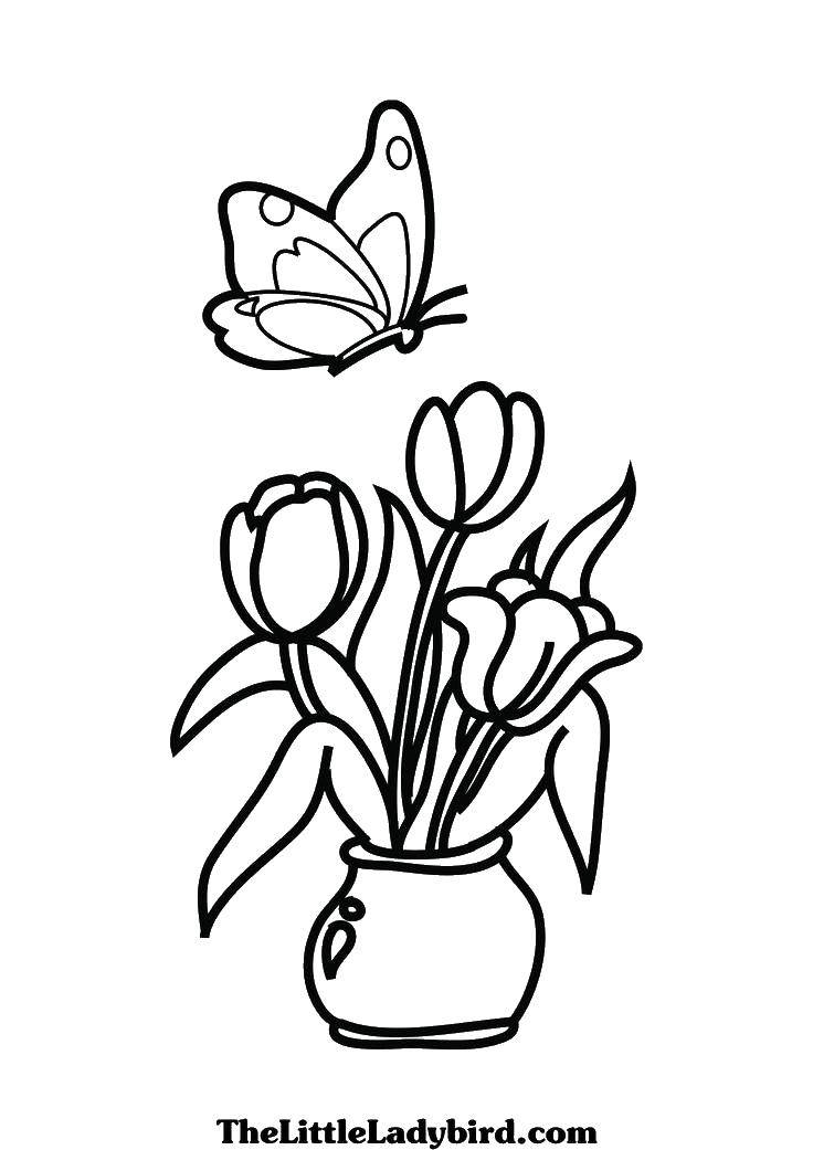 Название: Раскраска Бабочка хочет сесть на тюльпаны. Категория: Ваза. Теги: Цветы, букет, ваза.