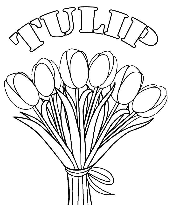 Название: Раскраска Букет тюльпанов. Категория: цветы. Теги: тюльпаны, букет, лента.