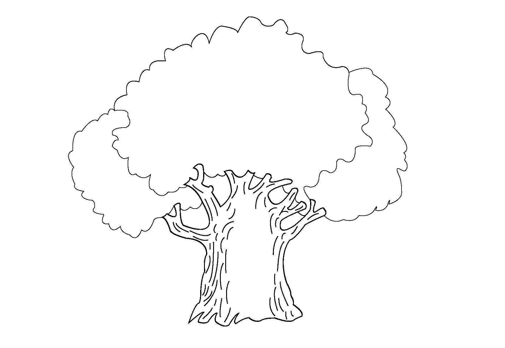 Название: Раскраска Дуб. Категория: дерево. Теги: дуб, дерево, крона.