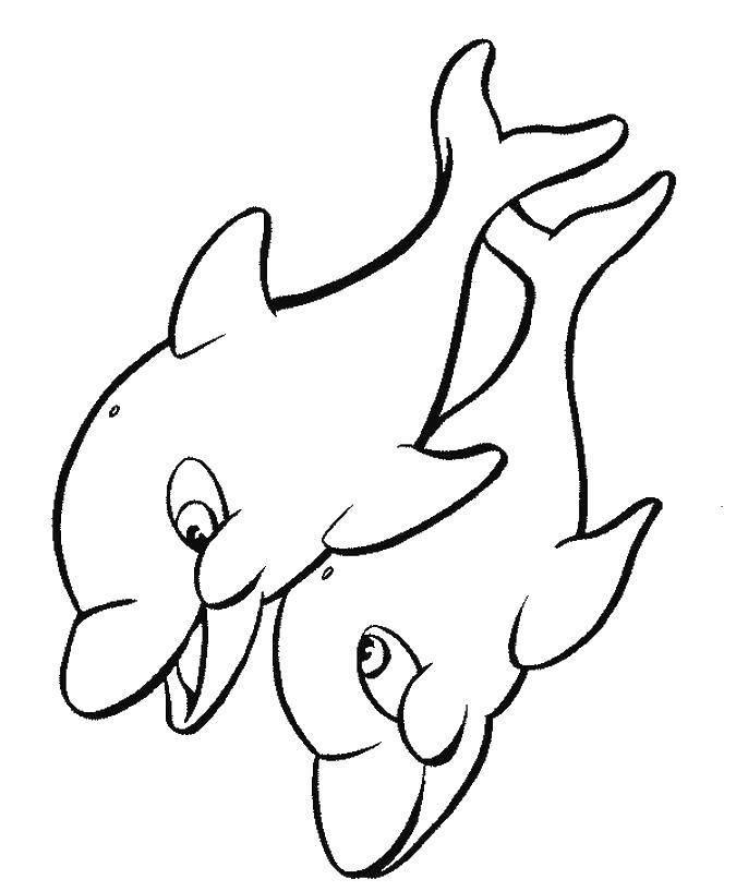 Название: Раскраска Два дельфинчика. Категория: морские обитатели. Теги: дельфин, хвост, глазки.