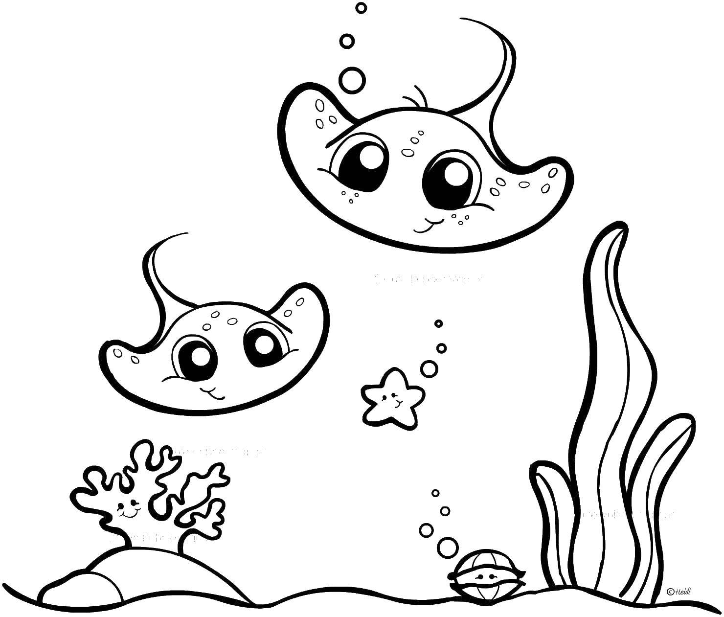 Название: Раскраска Два маленьких ската и водоросли. Категория: морские животные. Теги: скат, водоросли, пузыри.