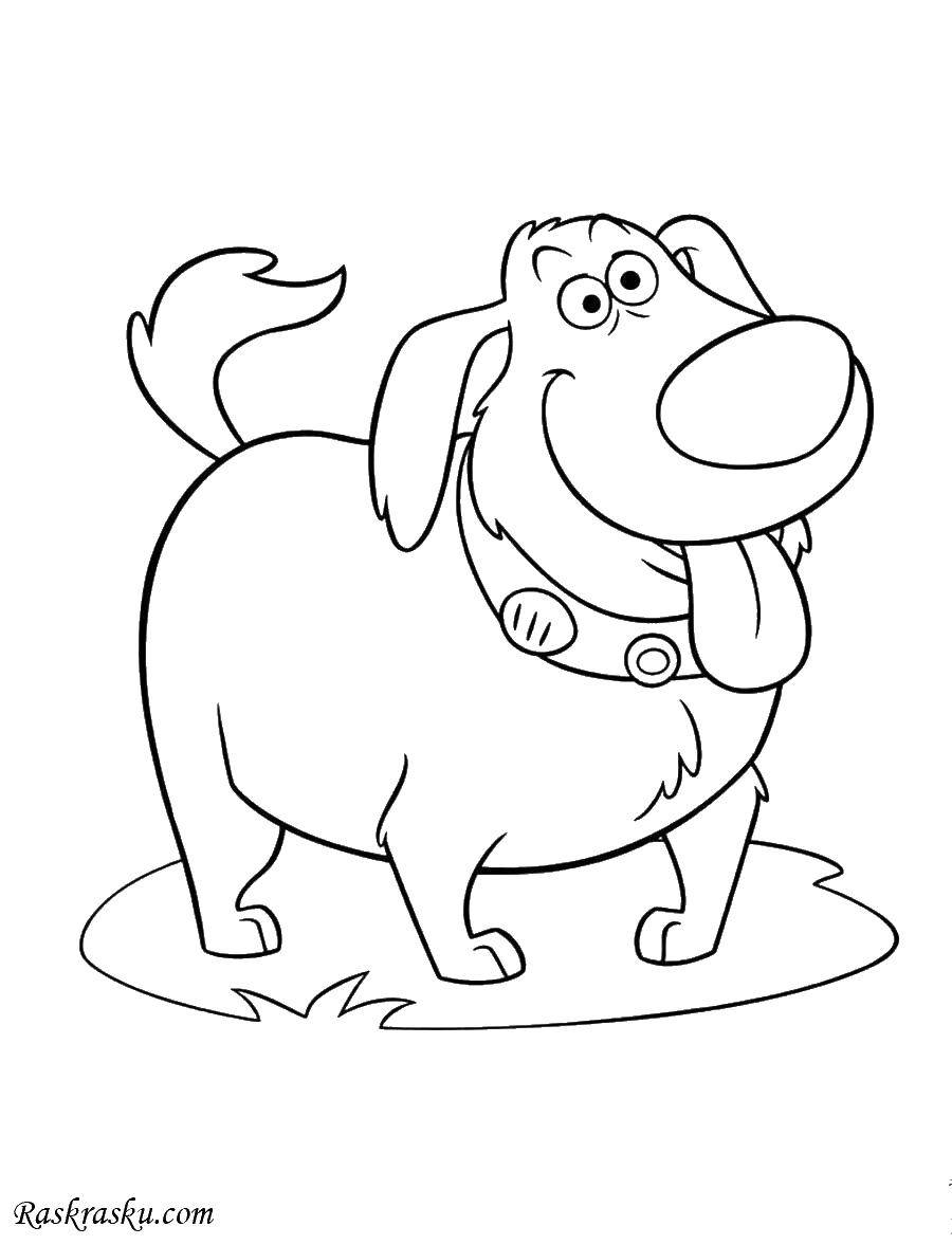 Coloring Silly. Category Animals. Tags:  Animals, dog.