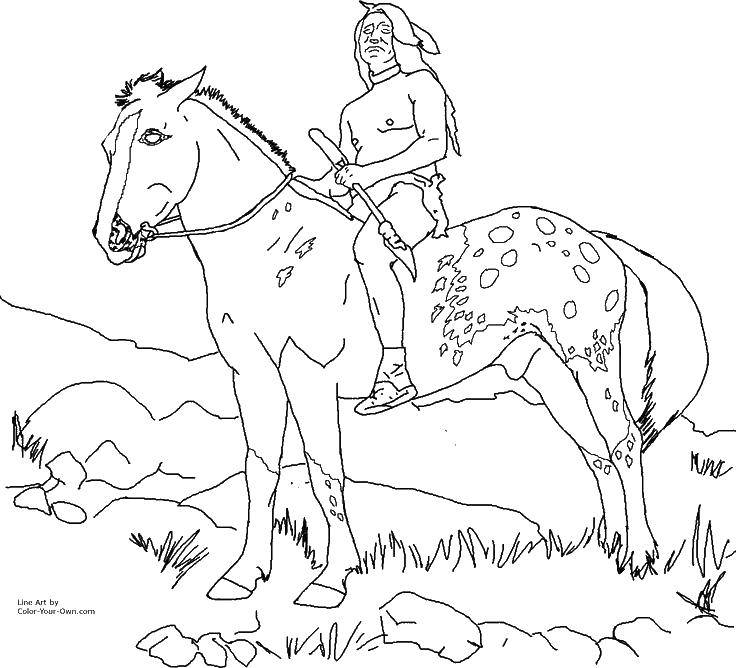 Название: Раскраска Конь и индеец. Категория: Индейцы. Теги: Индеец.