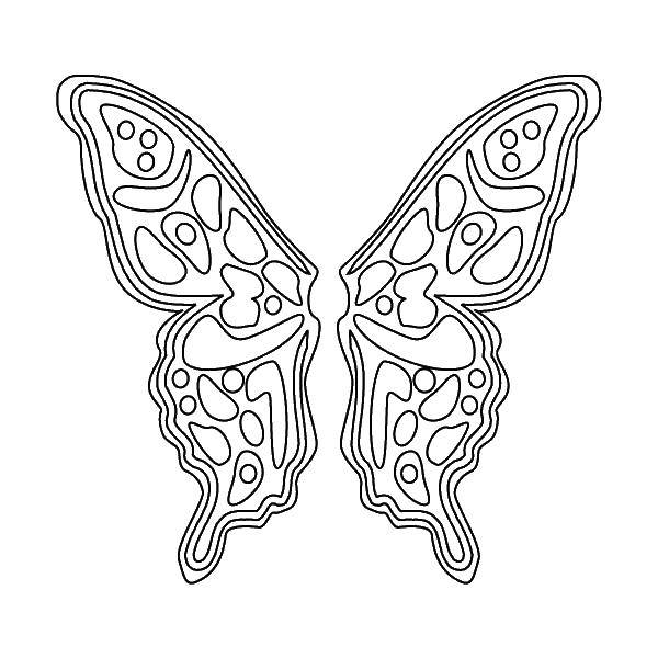 Название: Раскраска Крылья от бабочки. Категория: бабочки. Теги: Бабочка, крыло.