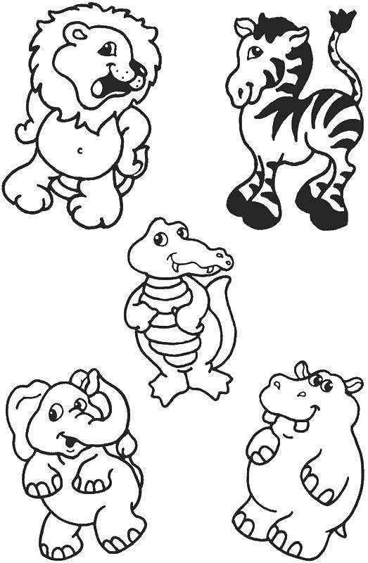 Coloring Lion, Hippo, elephant, Zebra and crocodile. Category animals. Tags:  Animals, Africa.