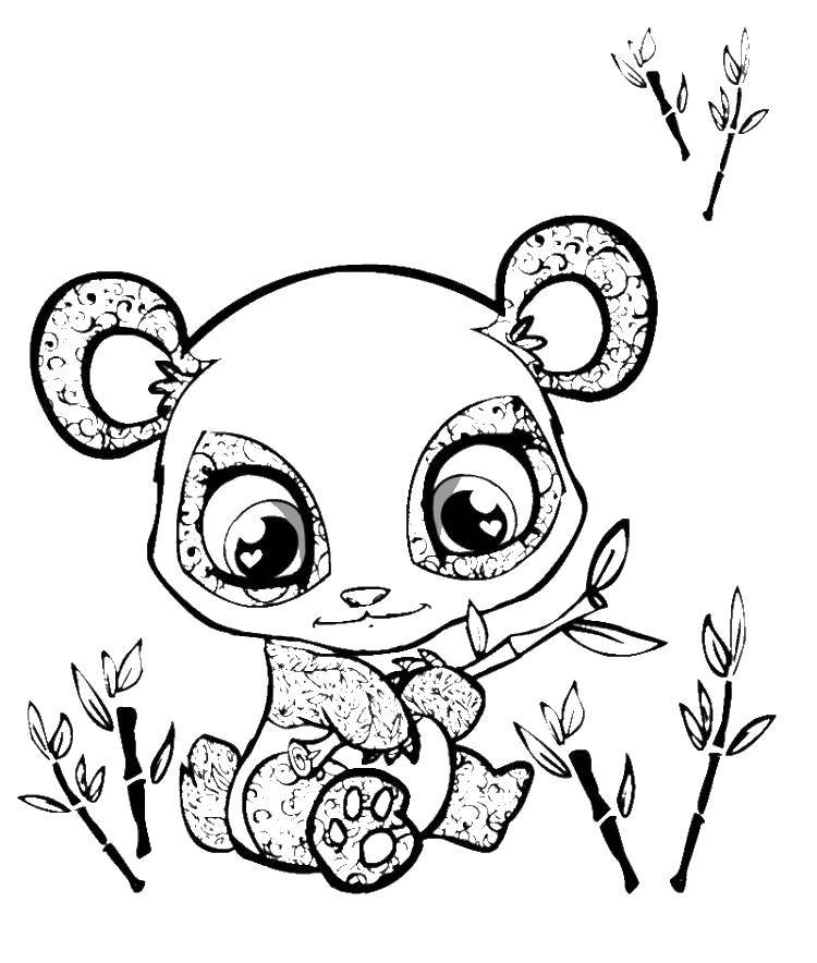 Название: Раскраска Маленькая панда и бамбук. Категория: животные. Теги: панда, бамбук, глазки.