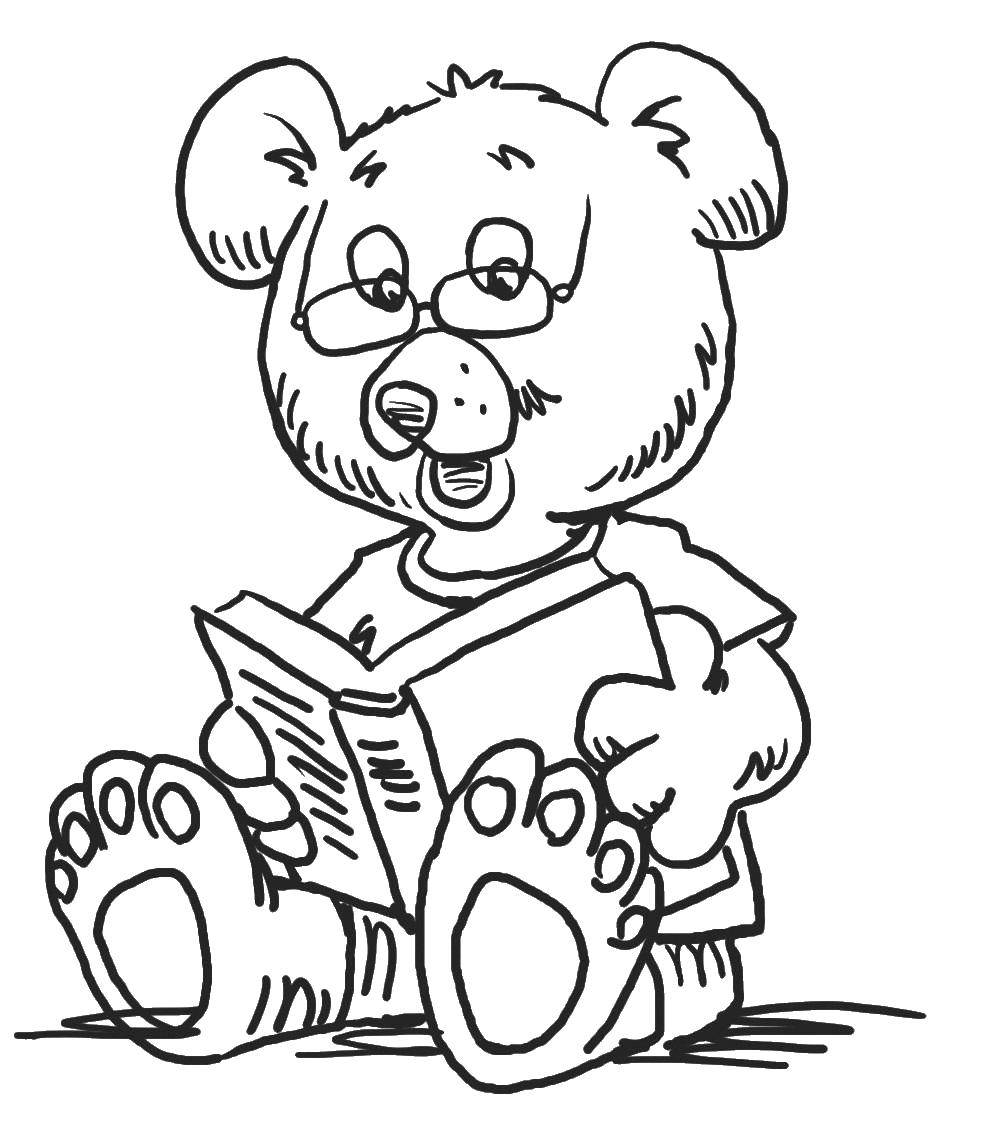 Coloring Bear with a book. Category coloring. Tags:  bear, book, glasses.
