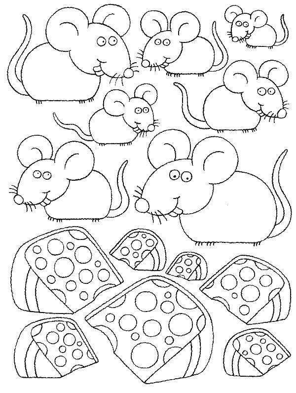 Название: Раскраска Много мышей. Категория: мышка. Теги: Мышка, животные.