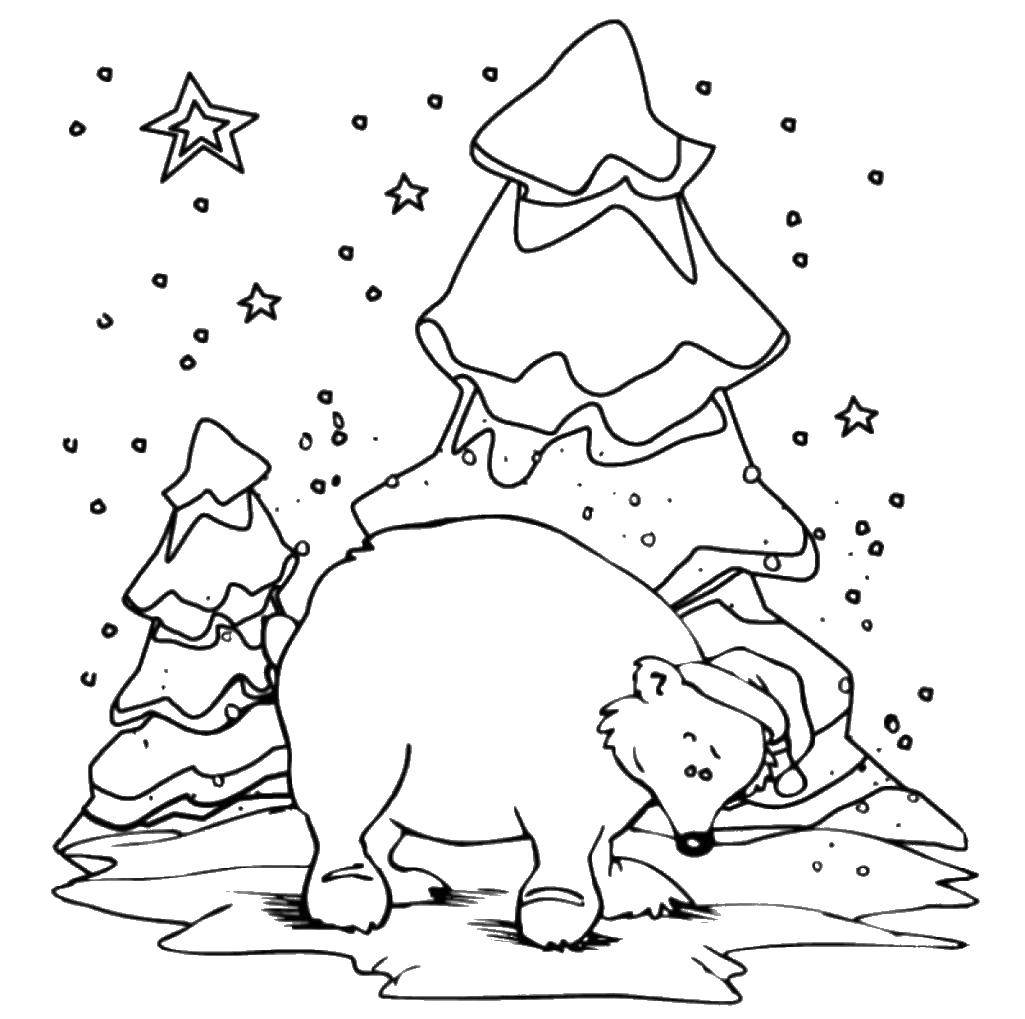 Coloring Christmas bear. Category new year. Tags:  New Year, tree, gifts, toys.
