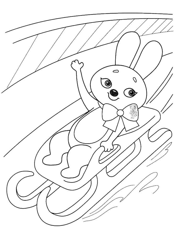 Название: Раскраска Олимпийский заяц на санках. Категория: олимпийские игры. Теги: заяц, санки, бант.