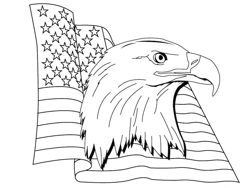 Название: Раскраска Орёл и флажок. Категория: США. Теги: Америка, США, флаг.