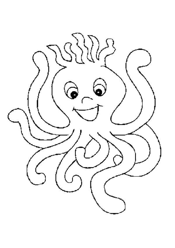 Coloring Octopus and tentacle. Category marine animals. Tags:  octopus, tentacle, eyes.