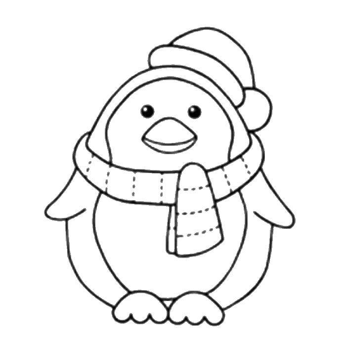 Название: Раскраска Пингвинчик в шапочке и шарфе. Категория: птицы. Теги: Птицы.