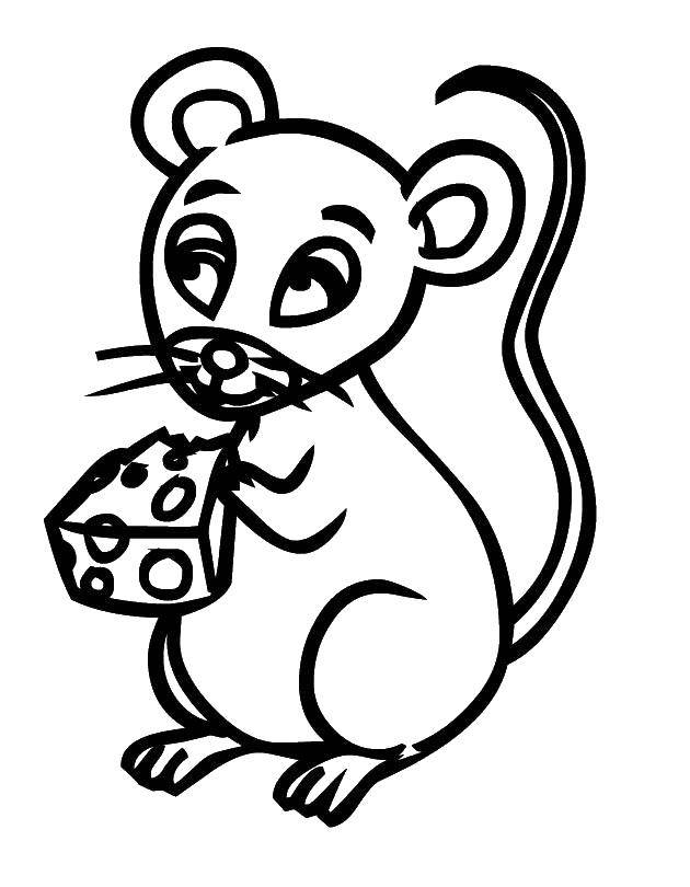 Название: Раскраска Поедание сыра. Категория: мышка. Теги: Мышка, животные.
