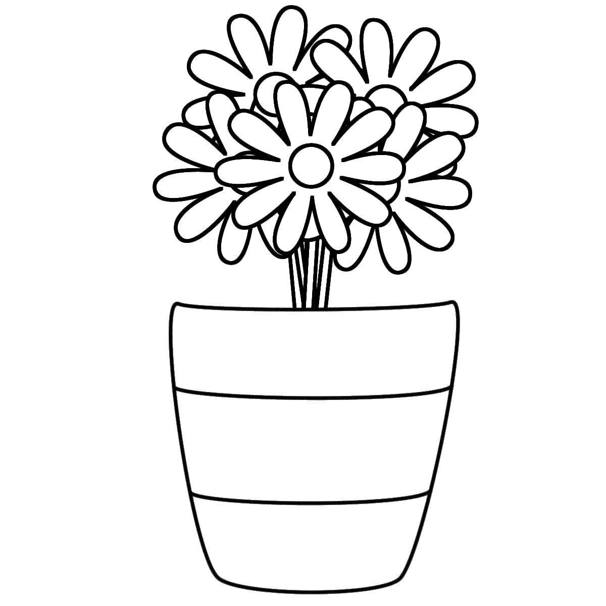 Coloring Simple flowers in a vase. Category Vase. Tags:  Flowers, bouquet, vase.