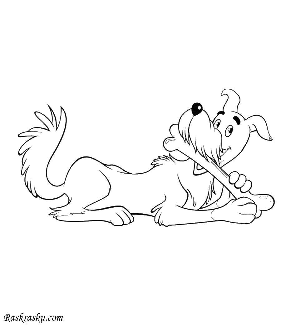 Название: Раскраска Пёс с костью. Категория: собаки. Теги: Животные, собака.