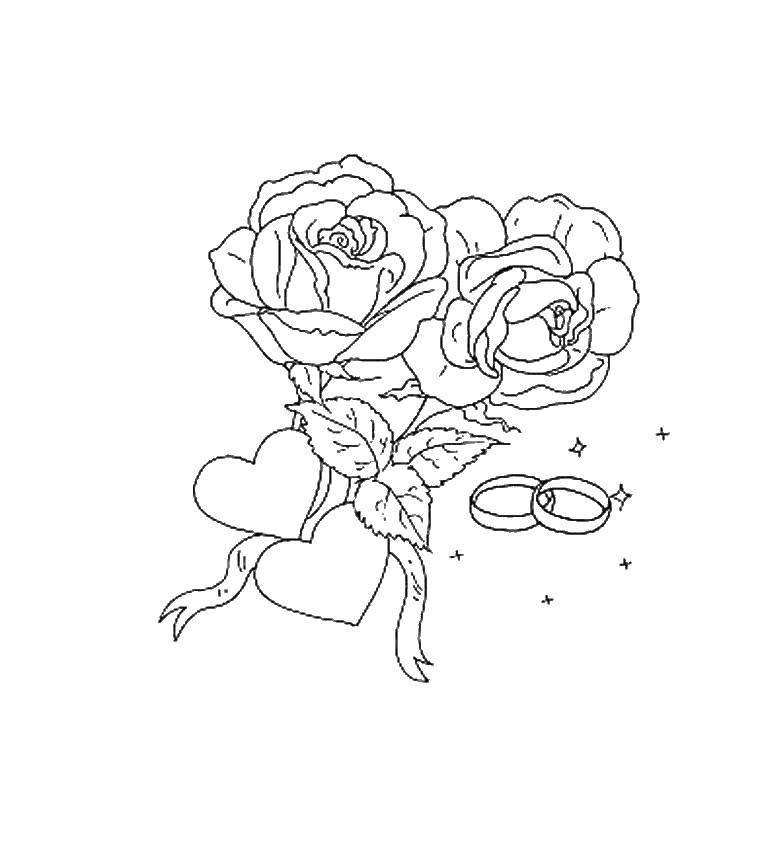 Coloring Roses and rings. Category Wedding. Tags:  Wedding, dress, bride, groom.