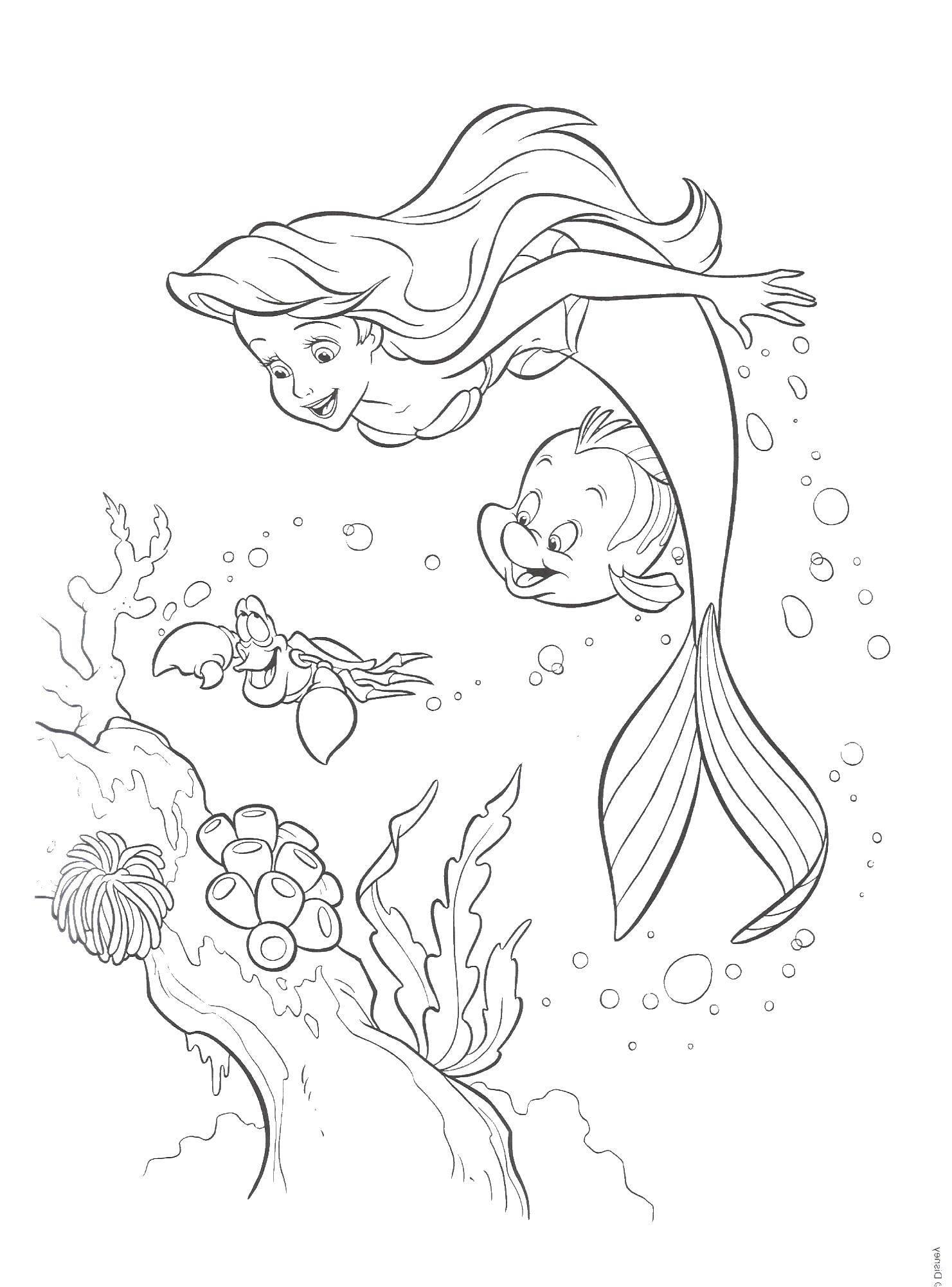 Coloring Mermaid Ariel and flounder. Category Disney cartoons. Tags:  Ariel, mermaid.