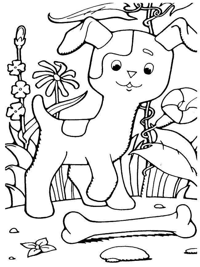 Название: Раскраска Щенок с костью и цветы. Категория: раскраски. Теги: щенок, кость, цветы.