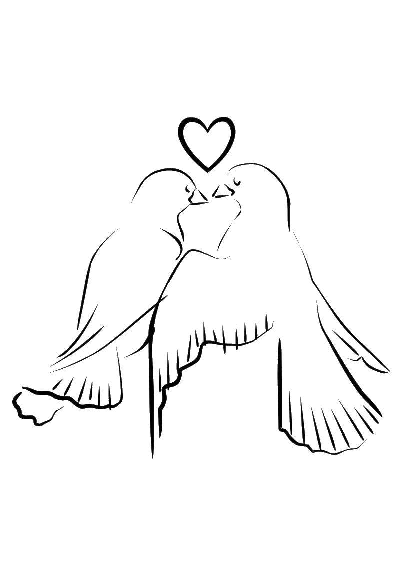 Coloring Heart and two doves. Category Wedding. Tags:  dove, kiss, heart.
