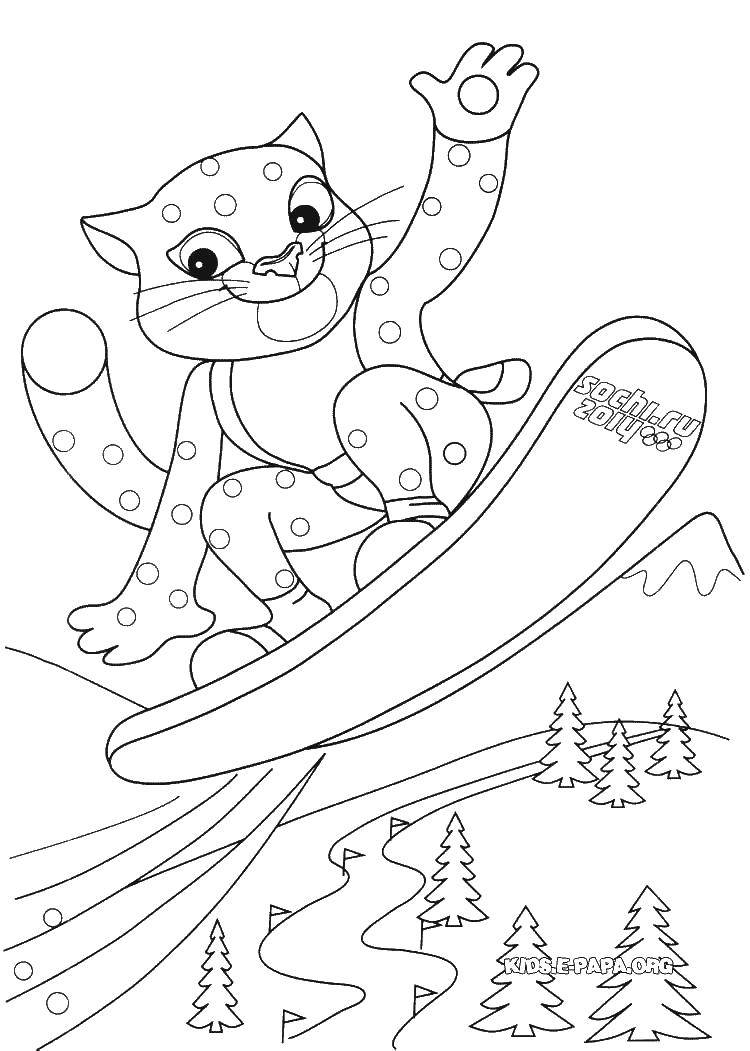 Название: Раскраска Снежный барс на сноуборде. Категория: олимпиада. Теги: барс, снег, сноуборд, елки.